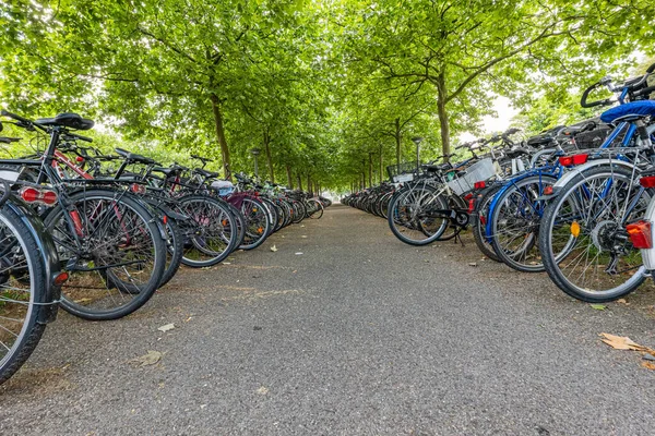long, never-ending corridor of a large bicycle parking lot with countless bicycles. High quality photo