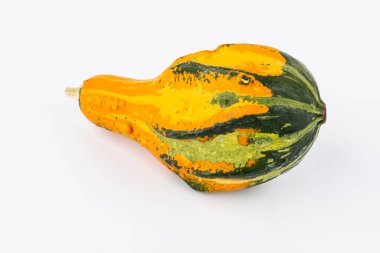 Biçimli ve ilginç bir şekilde renkli dekoratif kabak beyaz arka planda. Koleksiyonumda daha fazla balkabağı ve sonbahar motifi