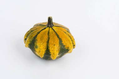 Biçimli ve ilginç bir şekilde renkli dekoratif kabak beyaz arka planda. Koleksiyonumda daha fazla balkabağı ve sonbahar motifi