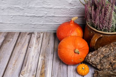 Birkaç Hokkaido balkabağı ve kış otlu kil kavanozuyla sakin bir hayat. Koleksiyonumda daha çok sonbahar ve balkabağı motifleri