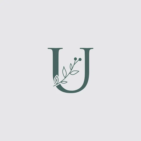 Графічний Квітковий Початковий Алфавіт Квіти Букетна Композиція Унікальна Колекція Весілля — стоковий вектор