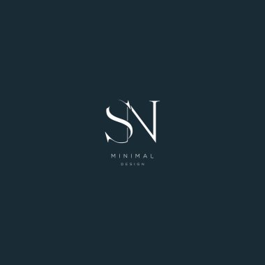 Initial letter sn minimal vector icon