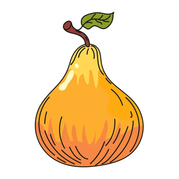 Pear mão de frutas desenho colorido doodle ícone, produto agrícola orgânico. Vector esboço ilustração vintage, estilo de gravação retro —  Vetores de Stock