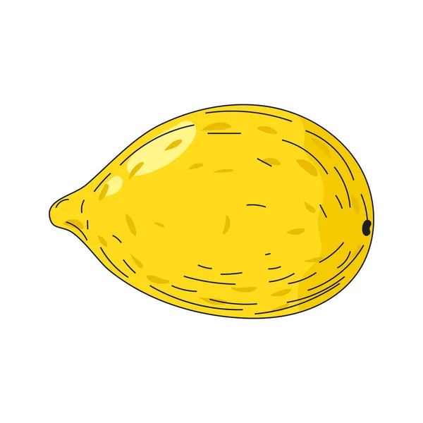 Лимонна фруктова рука малює барвисту значок каракулі, органічний сільськогосподарський продукт. Векторна ескізна ілюстрація вінтажний, ретро стиль гравюри — стоковий вектор