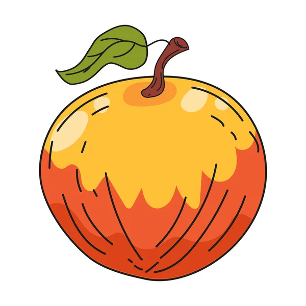 Maçã mão de frutas desenho colorido ícone doodle, produto agrícola orgânico. Vector esboço ilustração vintage, estilo de gravação retro —  Vetores de Stock
