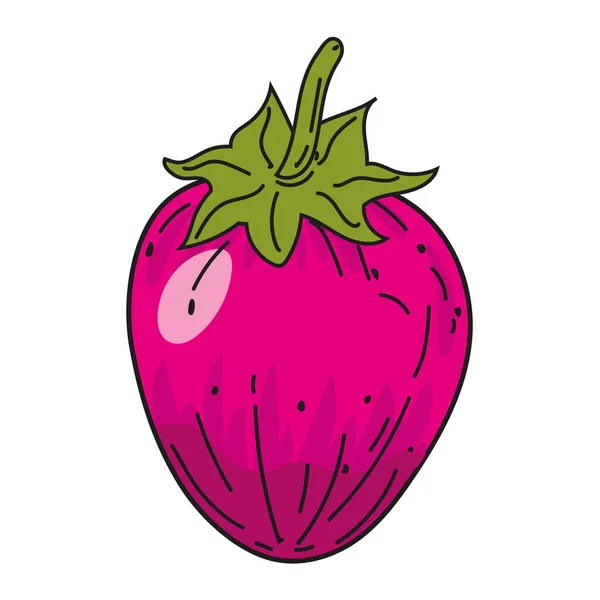 Fresa fruta mano dibujo colorido garabato icono, producto agrícola orgánica. Dibujo vectorial ilustración vintage, estilo de grabado retro — Vector de stock