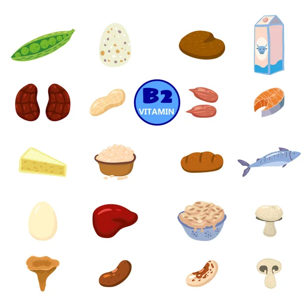 Σετ φυσικής προέλευσης βιταμινών Β2. Υγιή ημερολόγιο πλούσια σε τρόφιμα που περιέχουν ριβοφλαβίνη, τυρί, μανιτάρια, ξηρούς καρπούς, ψάρια. Βιολογικά προϊόντα διατροφής, συλλογή φυσικής διατροφής. Διανυσματική επίπεδη γελοιογραφία — Διανυσματικό Αρχείο