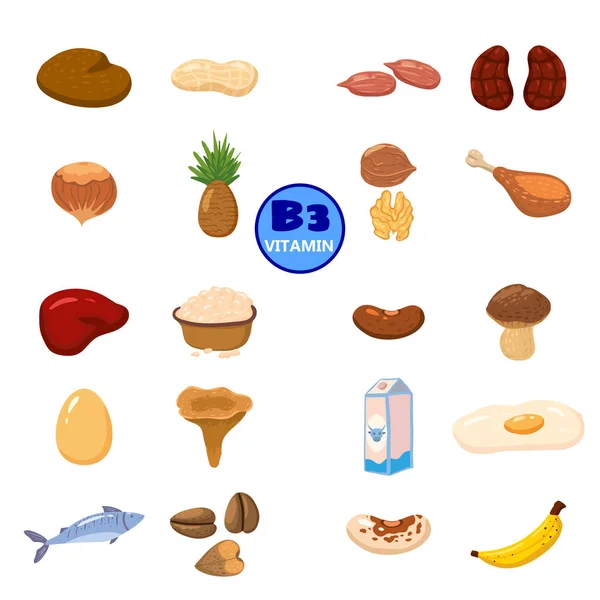 ビタミンB3の天然由来のセット。健康的な日記豊富な食品を含むナイアシン、アボカド、キノコ、ナッツ、魚、肝臓、バナナ、腎臓。有機食品、天然栄養コレクション。ベクトル — ストックベクタ