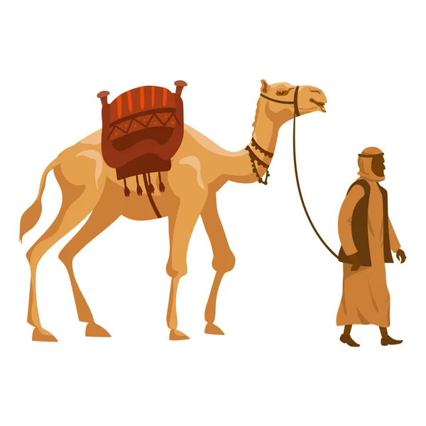 Camel and Arab man cameleer. Vector illustration — Stock Vector