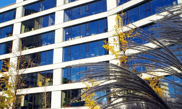 Ofis binasının maskarası, güneş gören mavi pencereli.