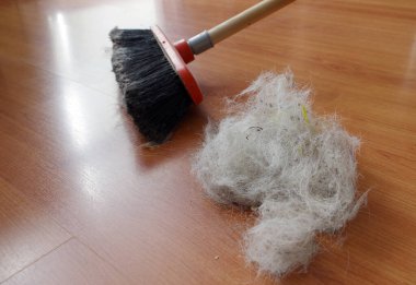 Süpürge fırçası ve bol miktarda tüy dökücü köpek tüyü.