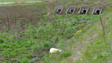 Kullanılmamış, otla kaplanmış yağmur suyu deposu.