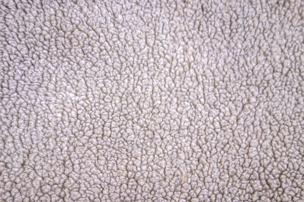 Blanc Frisé Mouton Texture Fond Fourrure Texture Naturelle Laine Mouton — Photo