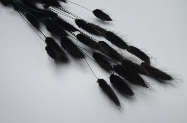 Reklam veya afiş için bir buket siyah kurutulmuş çiçekle gri arkaplan.