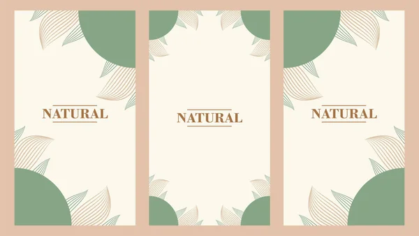 Abstrait Naturel Plat Design Social Media Stories Design — Image vectorielle