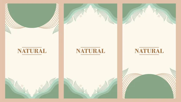 Abstrait Naturel Plat Design Social Media Stories Design — Image vectorielle