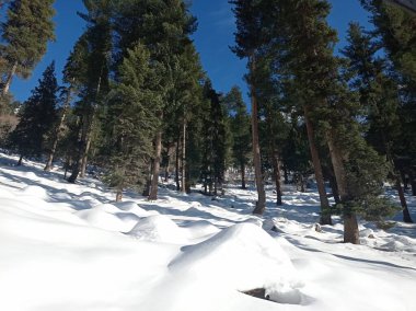 Karda Yeşillik, Kalam, Pakistan