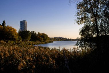 Sonbahar manzarası. Güneşli bir günde göl manzarası.