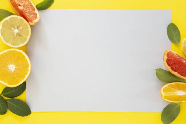 Fotokopi alanı olan portakal, limon ve greyfurt dilimli yaz arkaplanı