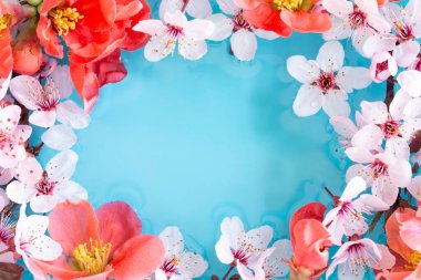 Kopya alanı ile bahar çiçekli çerçeve bileşimi