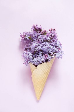 Bahar leylağı gözleme külahında Kopyalama alanı ile