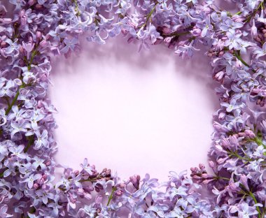 Kopya alanı ile bahar çiçekli çerçeve bileşimi