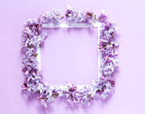 Composición Floral Con Marco Blanco — Foto de Stock