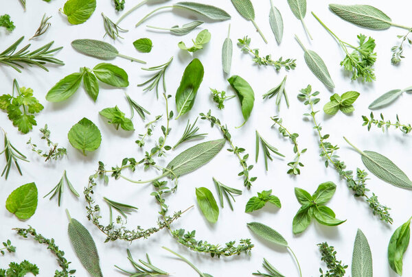 Various herbs on white background