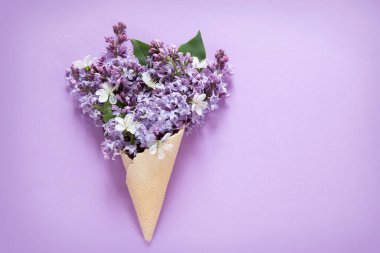 Dondurma külahında bahar leylağı ve kopyalama alanı