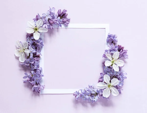 Spring Flower Composition White Frame — Foto de Stock