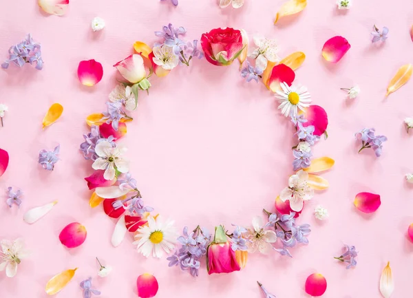 Spring Flower Composition Copy Space Pink Background — Stock Photo, Image