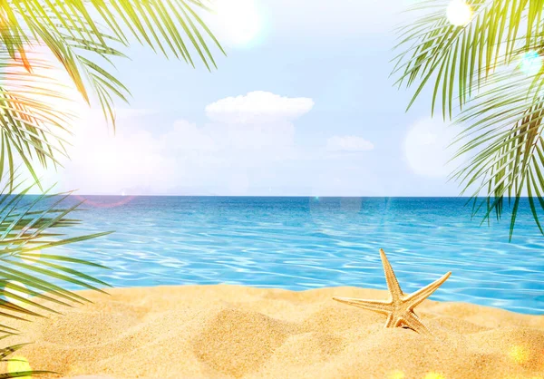 Summer Background Starfish Sand — Stock Photo, Image