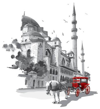 Cami turizmi İstanbul 'da Türkiye' nin tarihi mekanlarını geziyor