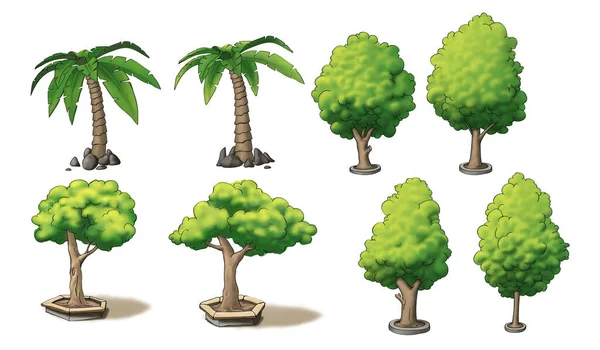 Palmiye ağacı sokak ağacı bahçesi ağacı