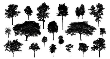 Beyaz arkaplanda fırça için ağaç silueti