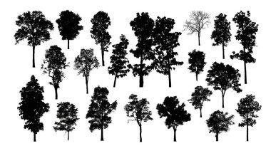 Beyaz arkaplanda fırça için ağaç silueti