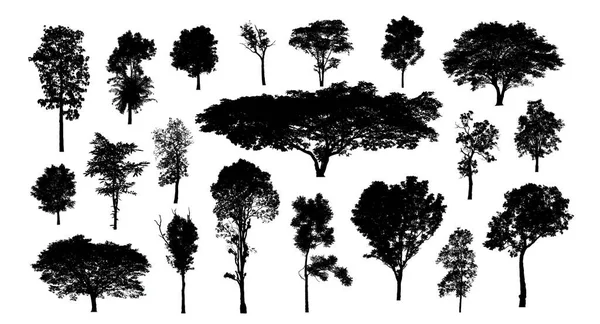 Набор Деревьев Силуэта Кисти Белом Фоне — стоковое фото
