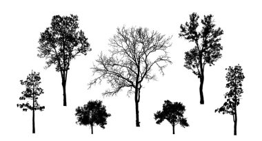 Beyaz arkaplanda fırça için ağaç silueti