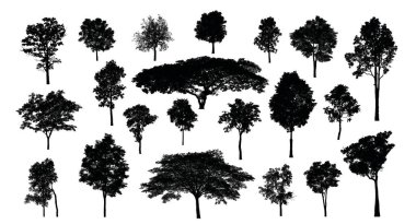 Beyaz arkaplanda fırça için ağaç silueti