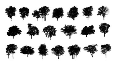 Beyaz arkaplanda izole edilmiş düzenlenebilir genel ağaç silueti
