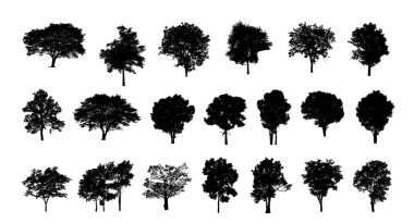 Beyaz arkaplanda izole edilmiş düzenlenebilir genel ağaç silueti