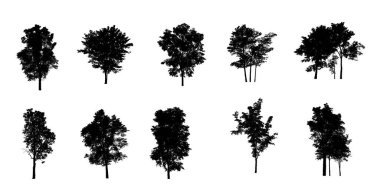 Beyaz arkaplanda fırça için ağaç silueti