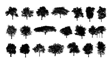 Beyaz arkaplanda fırça için ağaç silueti