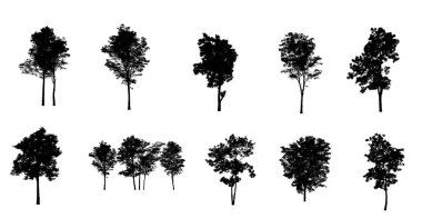 Beyaz arkaplanda fırça için ağaç silueti