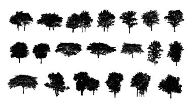 Beyaz arkaplanda izole edilmiş düzenlenebilir genel ağaç silueti