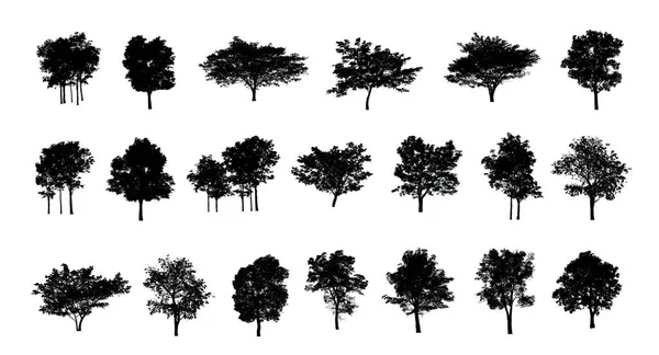 Zestaw Edytowalnej Ogólnej Sylwetki Drzewa Izolowanej Białym Tle — Zdjęcie stockowe