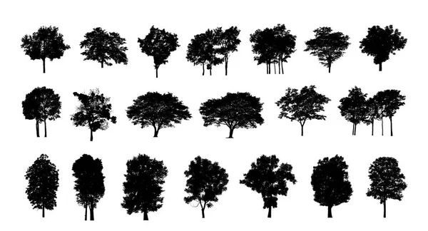 Σύνολο Επεξεργάσιμης Γενικής Σιλουέτας Δέντρων Που Απομονώνεται Λευκό Φόντο — Φωτογραφία Αρχείου