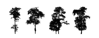 Beyaz arkaplanda fırça için ağaç silueti