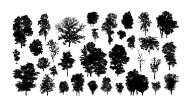 Beyaz arkaplanda fırça için ağaç silueti