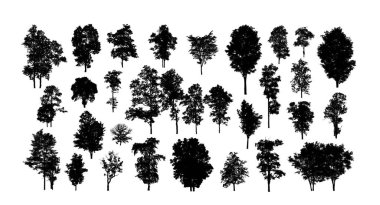 Beyaz arkaplanda fırça için ağaç silueti